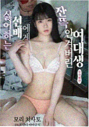 庆余年2 正版影视大全